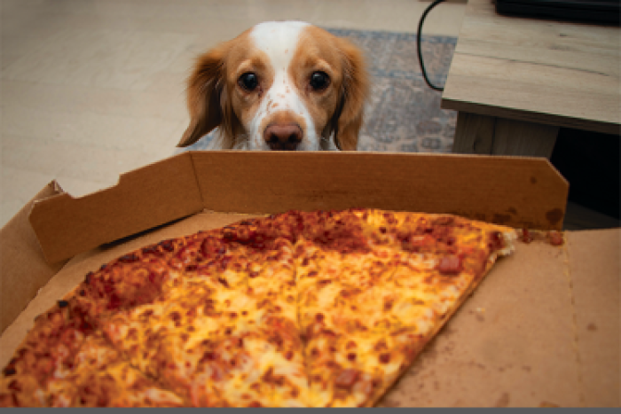A dog sitting on a ground in front of a large pizza box that is placed on a table.