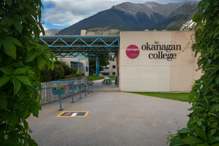 salmon arm