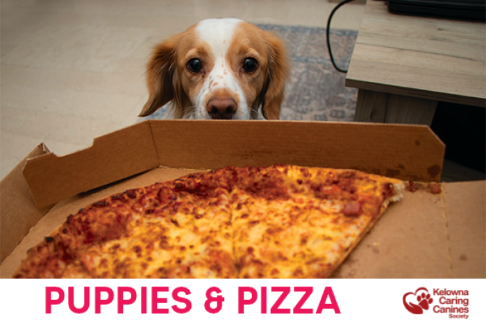 Puppies & Pizza