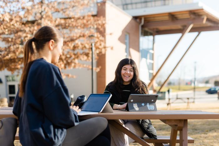 Free Application Night