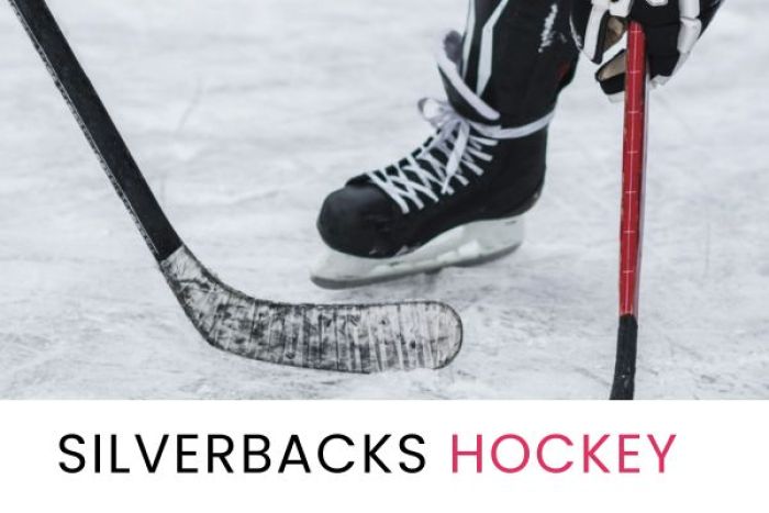 Silverbacks hockey game