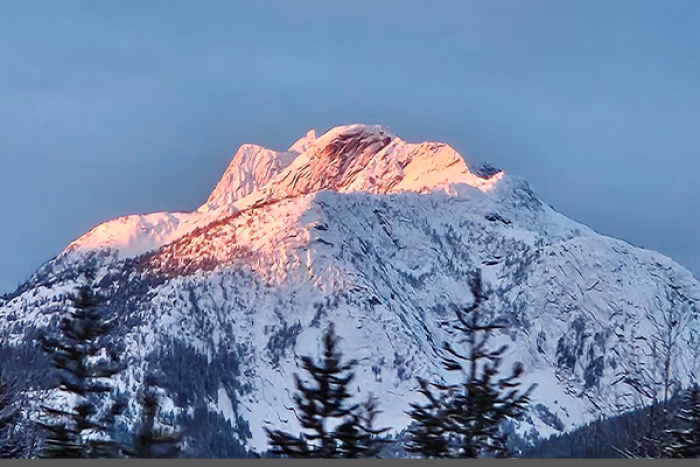 silver star student day