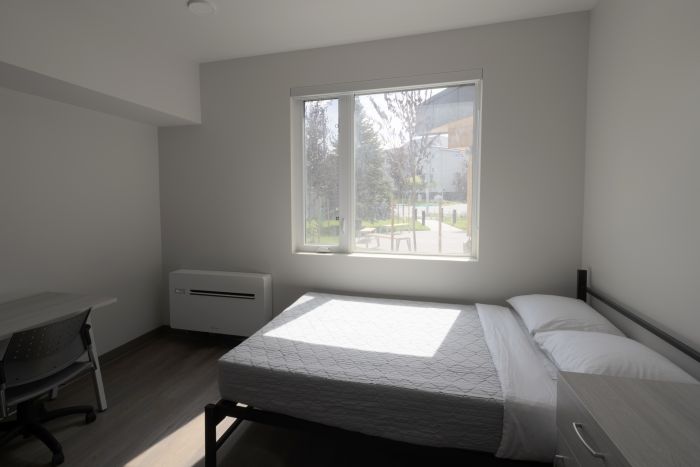 Sunlight overlooking a bedroom