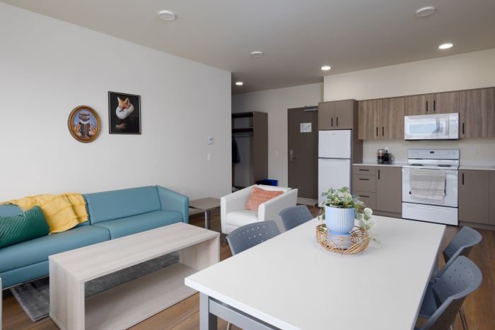 Living room and kitchen in KHB