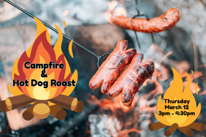 Campfire & Hot Dog Roast