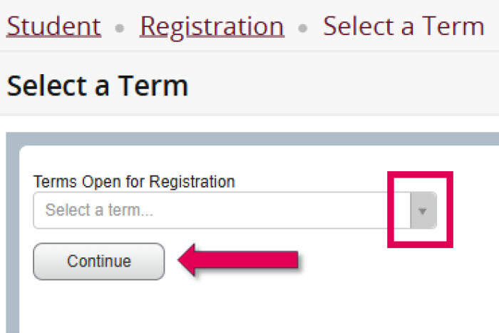 Use the dropdown menu to choose the correct academic term and click Continue.