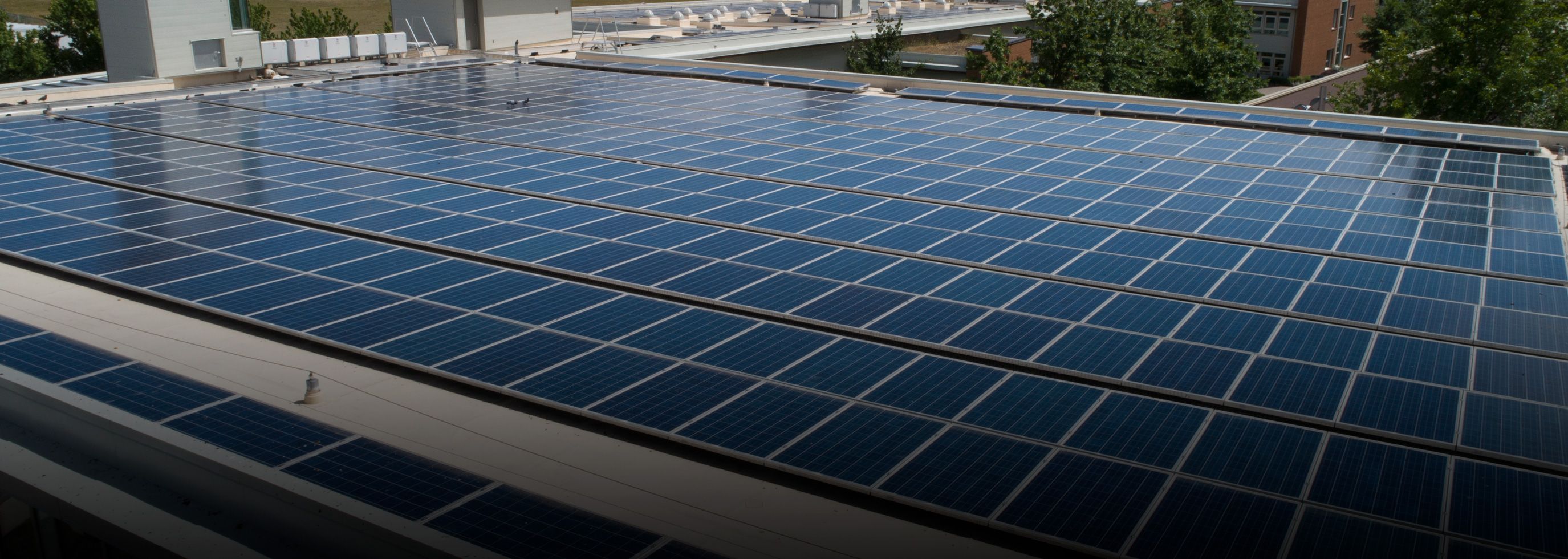 Rooftop solar panels on the Centre of Excellence building