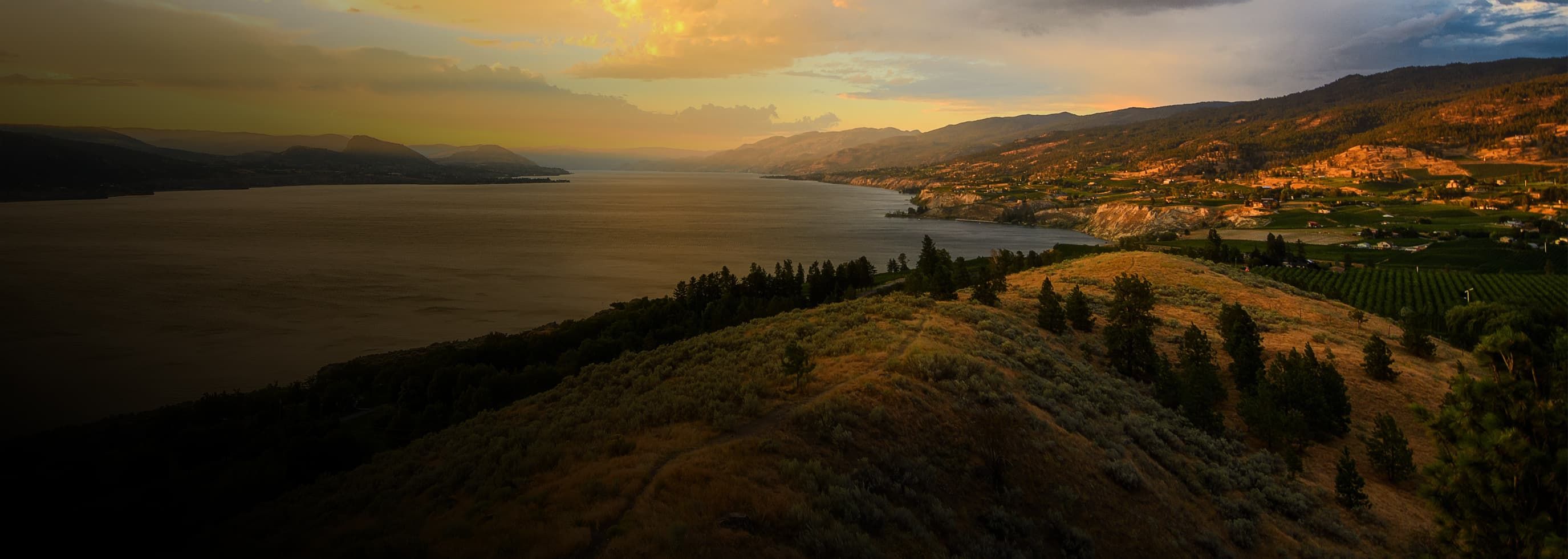 a landscape view of Okanagan Lake and Naramata Bench vineyards at sunset