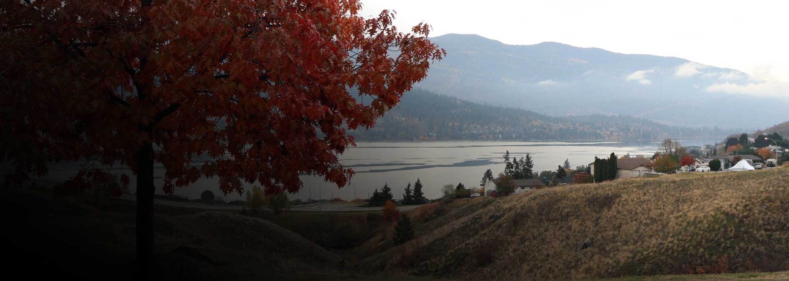 Vernon campus overlooking lake with fall trees