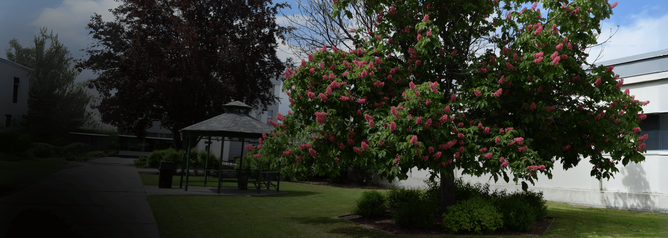 Hero - kelowna campus 