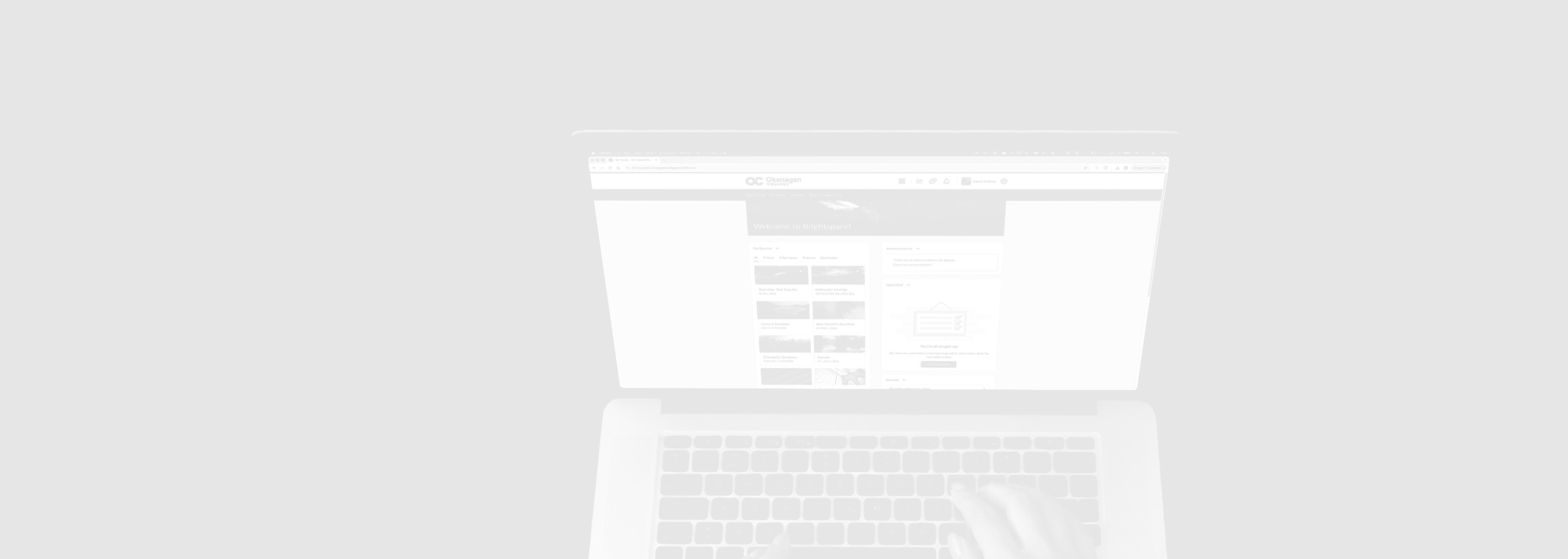 LMS Light Background