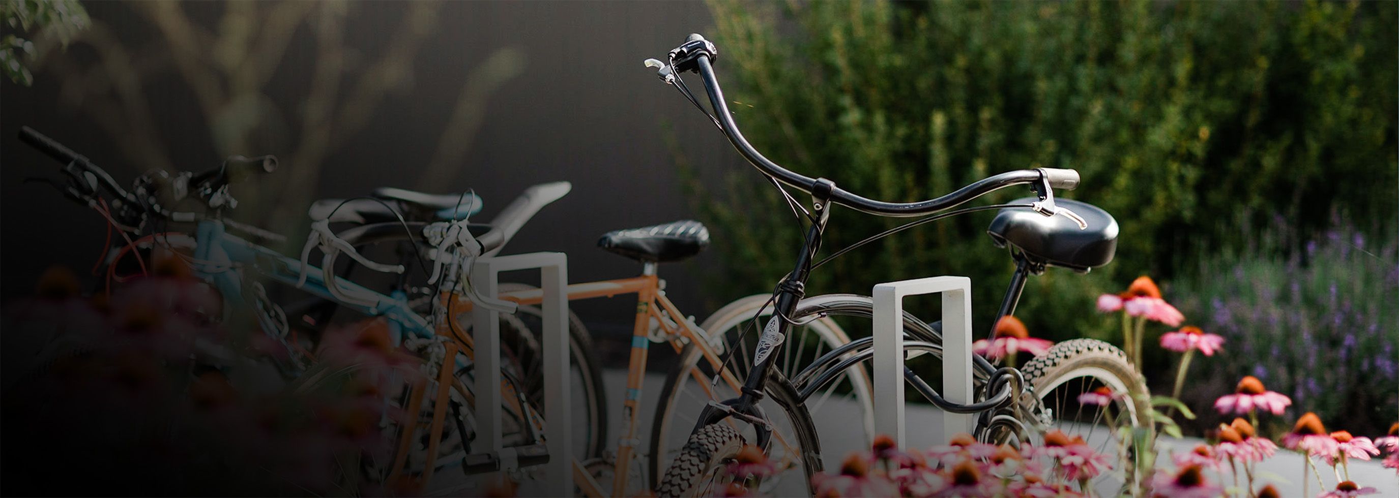 Banner image, recreation and student life, bicycle 