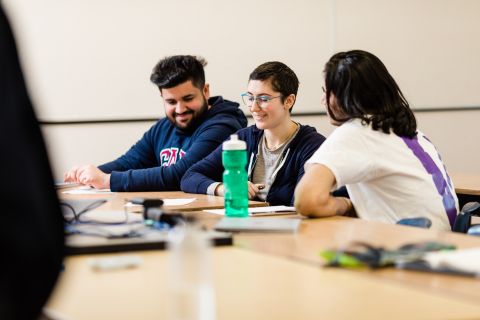 Economics students study together in class