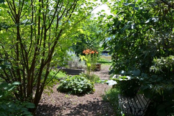 Knmalka-Sənqattən Garden