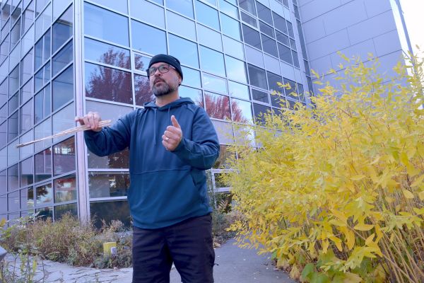 Land Based Education Teacher Kevin Kaiser gives a demonstration in the Indigneous garden on how to harvest spicen, also known as dogbane.