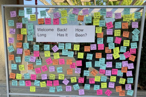 Colourful sticky notes on a message board responding to the question "Welcome back! How long has it been?"