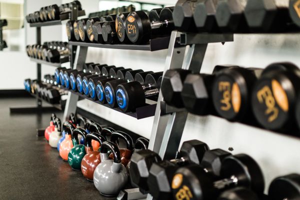 dumbbell rack in fitness centre