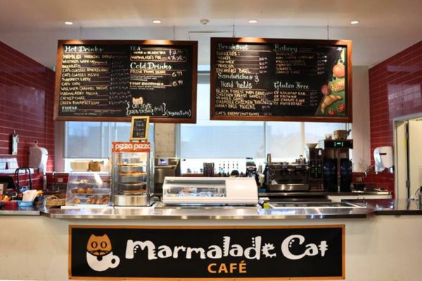 Marmalade Cat Café counter with chalkboard menus, pastry display, and espresso machines.