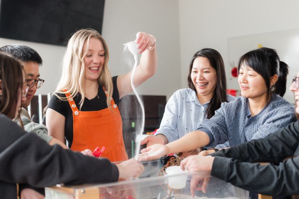 Early Childhood Education Diploma