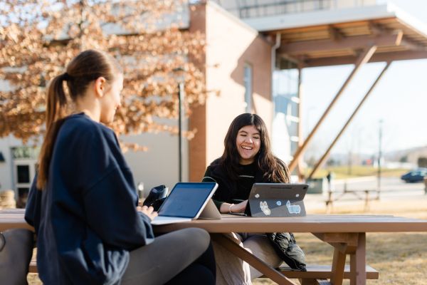 Students studying together