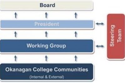 Strategic Plan diagram outlining how the Steering Team and Working Group will support plan development. 
