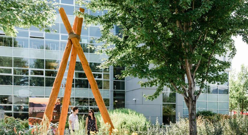 Story poles visible in Kelowna's na’ʔk’ʷulamən garden.