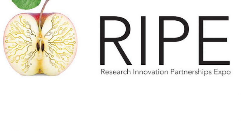 Research Innovation Partnership Expo logo