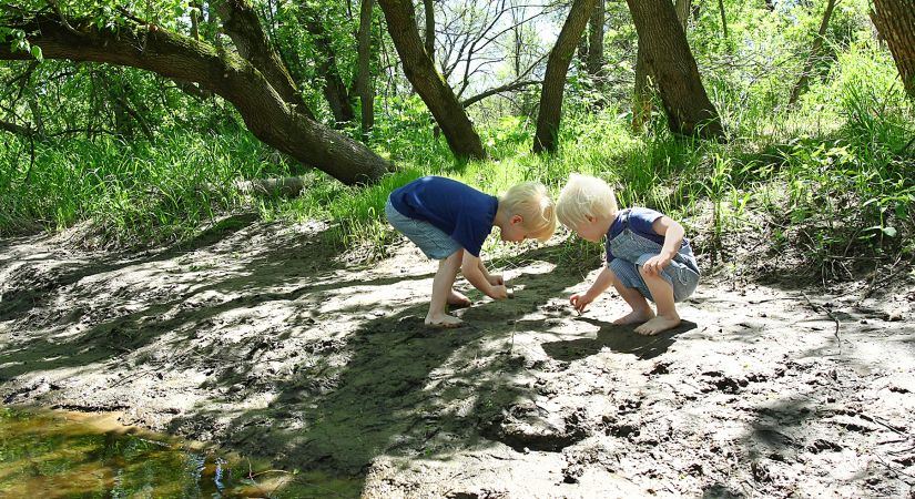 Children Outdoor Play