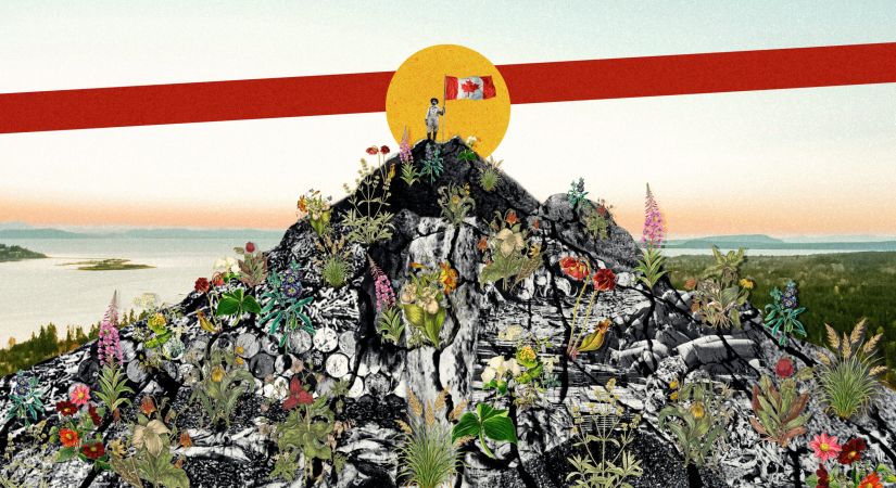 ecopolitics podcast image